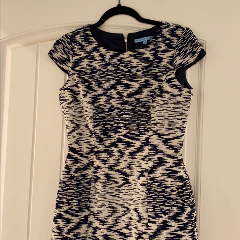 Antonio melani navy and white dress